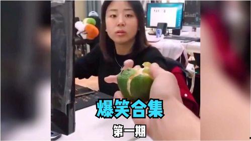 娱乐吃瓜喵姐视频大全下载,视频大全下载，揭秘娱乐圈幕后故事